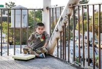 کودکان کار در کهگیلویه و بویراحمد به دنبال حداقل درآمدی برای معیشت